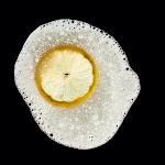 xl_modernist_cuisine_02.jpg