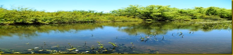 SAM_0506 SAM_0506