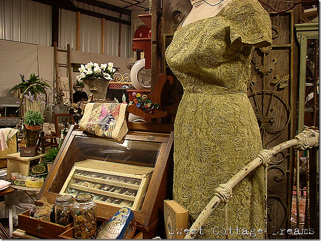 P1010071w P1010071w