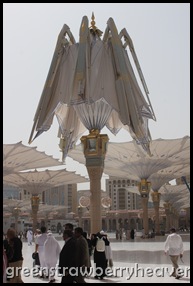 IMG_8384 IMG_8384