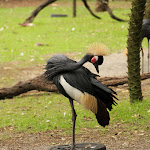 IMG_1995.jpg