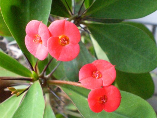 [7198efbb6e4f5c1e2abc4baaa6b39e32_600%5B3%5D.jpg]