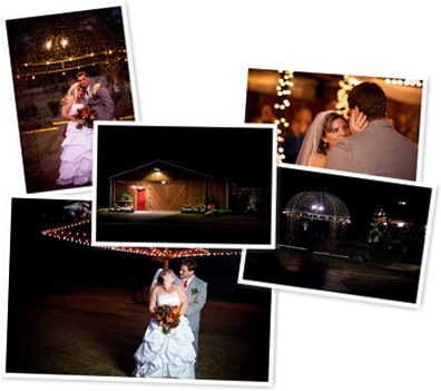 View album