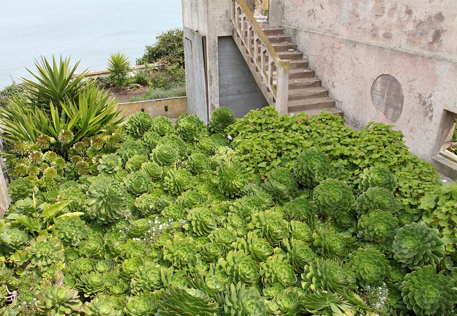 [120408_Alcatraz_191%255B2%255D.jpg]