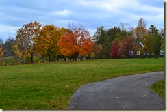 DSC_0006 DSC_0006