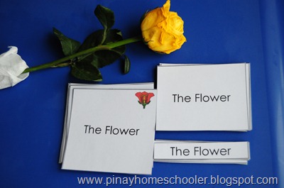 Learning about Flowers