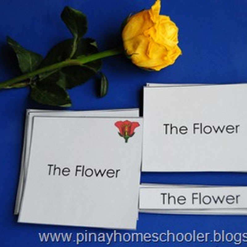 Learning about Flowers The Pinay Homeschooler