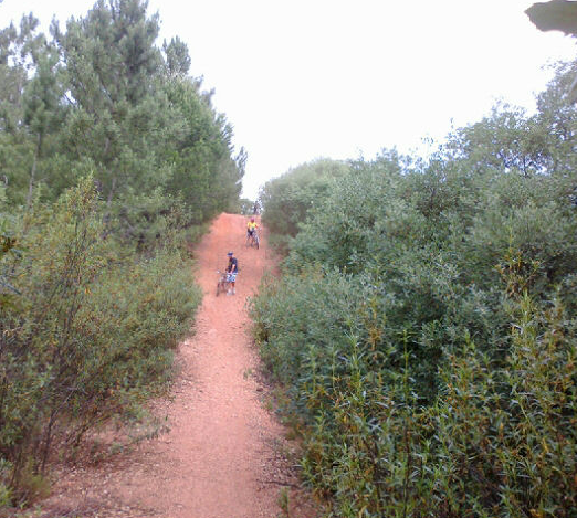 [Capturar6%255B2%255D.png]