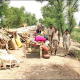 Rains & Flood Devastation Pictures Rains & Flood Devastation Pictures