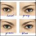 Lentes De Contacto Freshlook Colorblends Regalo