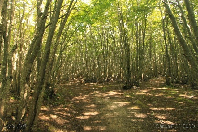 [IMG_6992%255B7%255D.jpg]