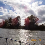 IMG_3157.JPG