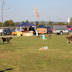 IMG_3110.JPG