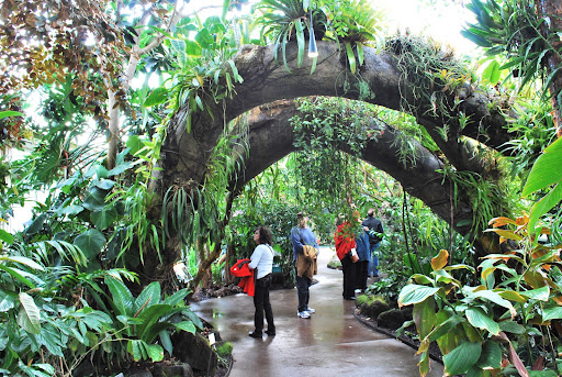 I couldn't resist photographing this amazing tree arch.