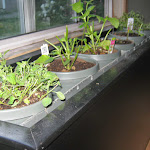 IMG_0767.JPG