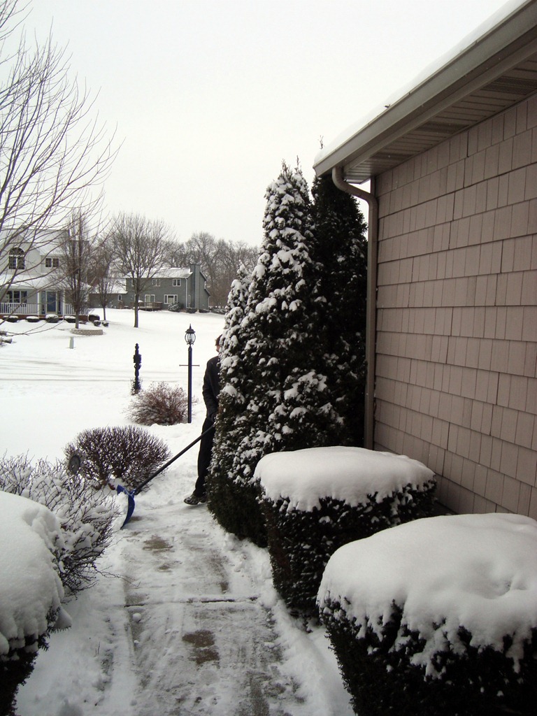 [snow%255B5%255D.jpg]