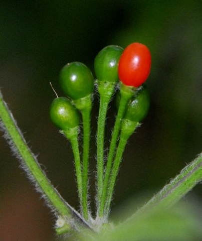 [image%255B51%255D.png]