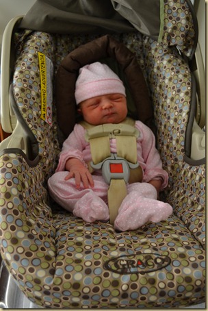 2012-10-06 019 2012-10-06 019