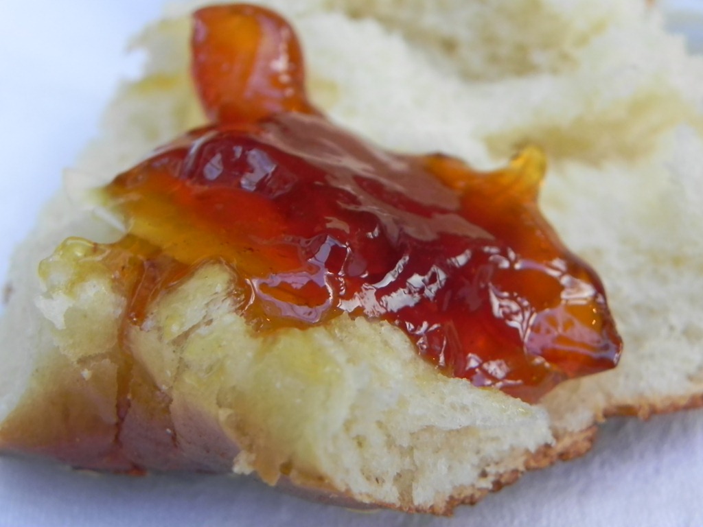 [DSCN8294%255B3%255D.jpg]