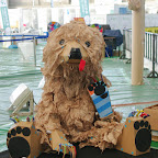 Hi I'm Cardboard Teddy Bear.
