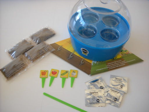 This adorable terrarium is another fun Miracle-Gro Kids product. It comes with either veggie or flower seeds. This particular kit will yield cucumber, eggplant, tomato, and sweet pepper. Fun!
Terrarium, $12.99, by Miracle-Gro