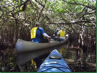 Turner River Paddle 1 (36)