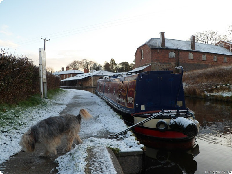 SAM_0003 Snowy Ellesmere