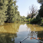 DSCN9389.JPG
