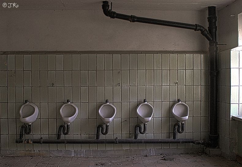 prora-6 prora-6