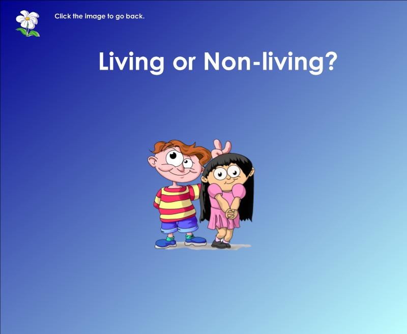 [Living%2520Things%2520Review_9.jpg]