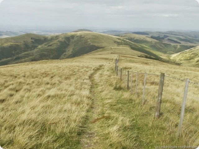 PW and border fence (england on the right, scotland on the left)