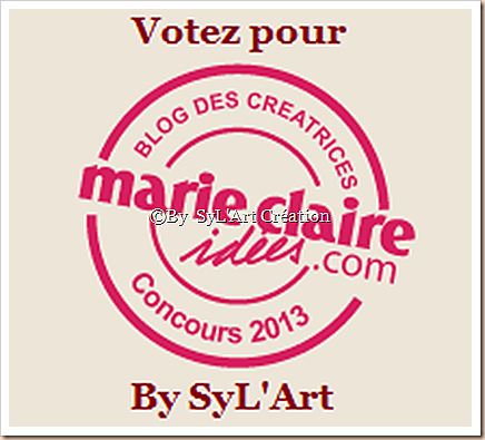Concours blog MCI 2013