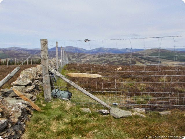 hare cairn deer fence