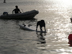 Cholo sobre la tabla de surf al atardecer.