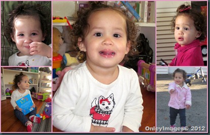 1112 Ellie Collage1 1112 Ellie Collage1