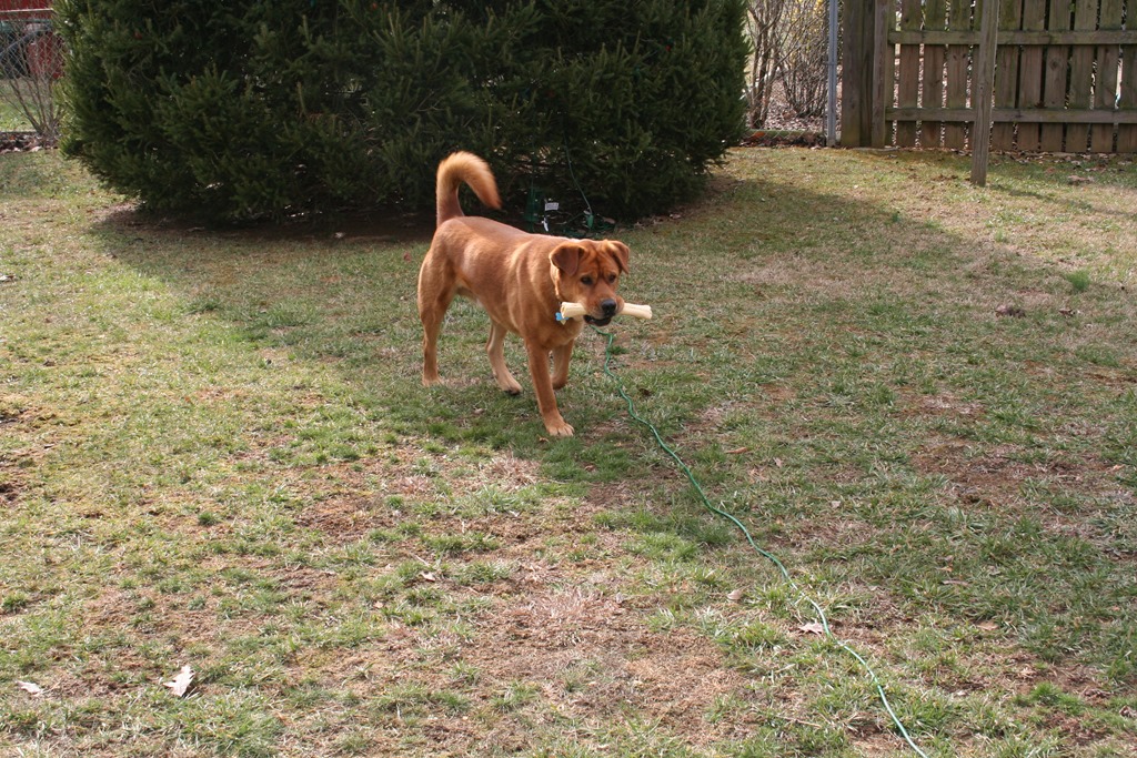 [IMG_0152%255B3%255D.jpg]