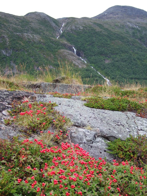 [051%255B6%255D.jpg]