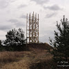 dsc05245.jpg