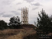 dsc05245.jpg