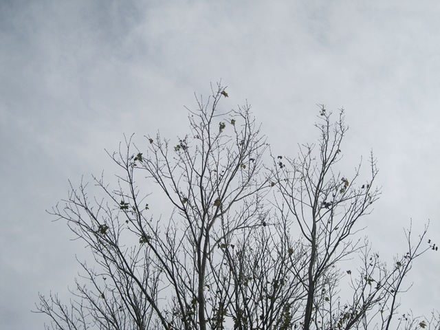 [IMG_3484%255B3%255D.jpg]