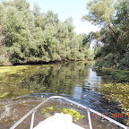 DSCN2802.JPG