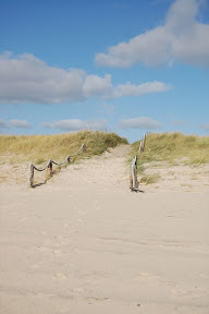 DSC_0258.jpg