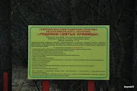 DSC_3889.JPG