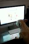 You're right, Franny.  That cookie looks just like this photo of us on our blog.
