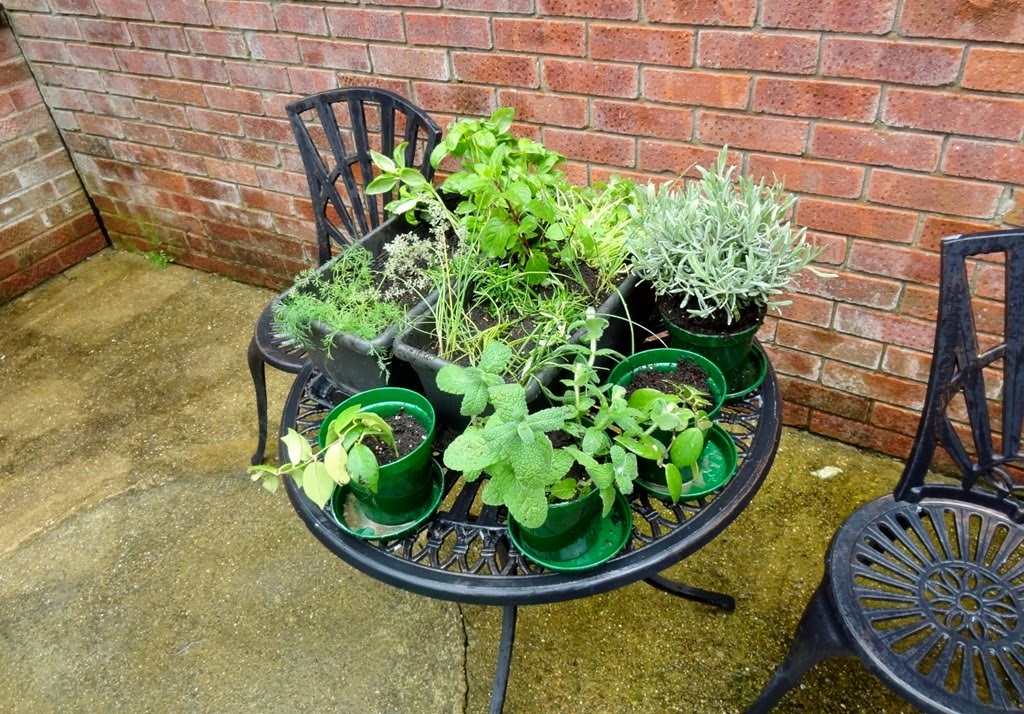 [DSC05640%2520%25281300x907%2529%255B4%255D.jpg]