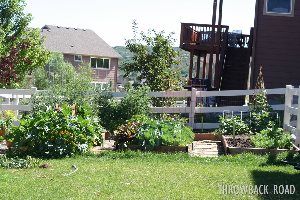 [garden%2520walk%2520July%252017%2520046%255B3%255D.jpg]