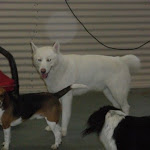 DSCN4548.jpg