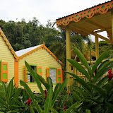 The Lush Gardens of Romney Manor - Basseterre, St. Kitts