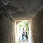 IMG_6766.JPG