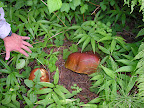DSCN4077.JPG